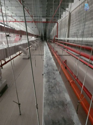 hoang-duc-long-hau-2