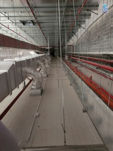 hoang-duc-long-hau-7